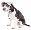 Pet Life 'Botanic Bark' Floral Uv Protectant Adjustable Fashion Dog Hat Cap